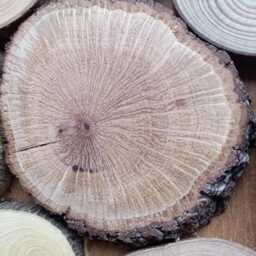 Handcrafted Wooden Wall Art, Wood Slice Art Above Fireplace, Organic Artwork For Mediterranean Home - thumbnail 3