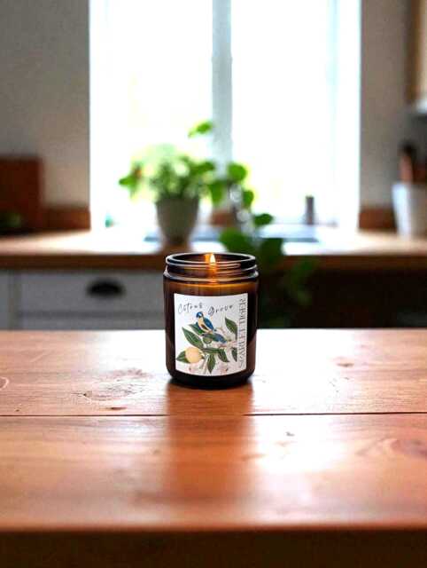 Citrus Grove Candle, Lemon, Lime & Yuzu Scent - image 1