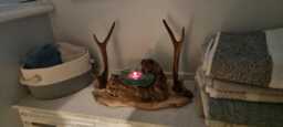 Oak & Real Sika Antler Centerpiece With Molten Glass On Wood Tea Light Holder - thumbnail 1