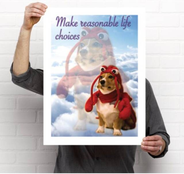 Make Reasonable Life Choices Wall Art - Corgi Print Lobster Costume Dog Outfit Reasonable Life Choices Dorm - image 1