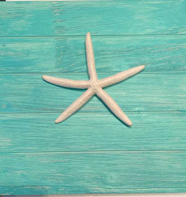 starfish Wall Art - image 1