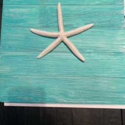 starfish Wall Art - thumbnail 4