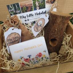 Mother's Day Bird Feeder Gift - Natural Food Eco Friendly Birds Garden Christmas Stocking Filler Nana - thumbnail 1