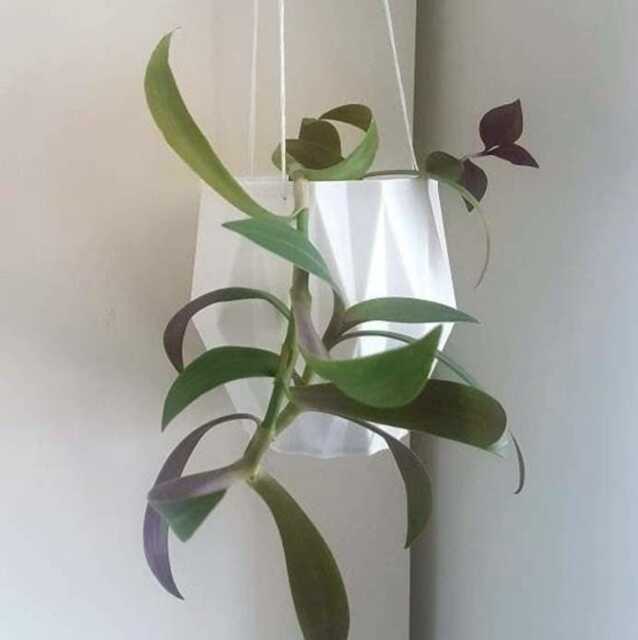 The Berlin Hanging Plant Pot, Planters For Modern Interiors - image 1