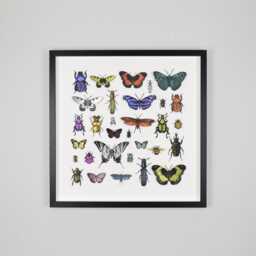 3D Paper Cut Bugs & Butterflies Wall Art, Framed Print, Fun Decor, Collectors Art - thumbnail 1