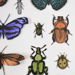 3D Paper Cut Bugs & Butterflies Wall Art, Framed Print, Fun Decor, Collectors Art - thumbnail 3