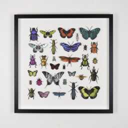 3D Paper Cut Bugs & Butterflies Wall Art, Framed Print, Fun Decor, Collectors Art - thumbnail 2