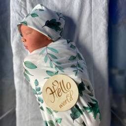 Newborn Leaf Print Botanical Swaddle Welcome Set - Unisex Hospital Receiving Set Baby Hat & Bow Wrap Photo Shoot Prop - thumbnail 2