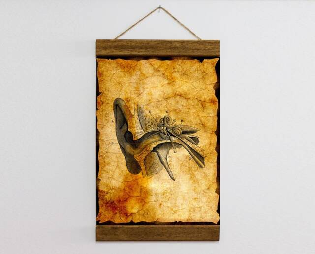 Vintage Inner Ear Illustration Wood Framed Canvas Print, Anatomy Theme Nose Throat, Print For Doctor Clinic Wall Art - image 1