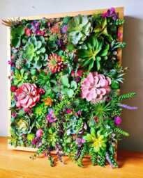 Faux Succulent 3D Wall Art Vibrant Wood Framed Botanical Decor For Home Or Business - thumbnail 1