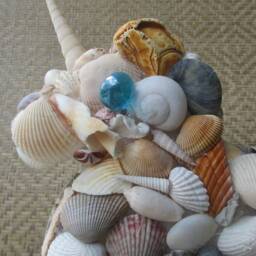 Seacorn Sculpture Made Of Seashells - thumbnail 4