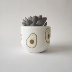 Avocado Concrete Succulent Pot, Painted Home Decor