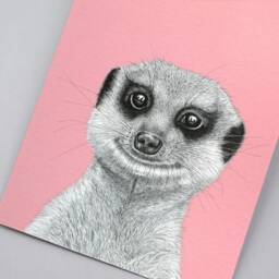 Meerkat A4 Art Print // Wall Art, Wildlife Meerkat Gift, Pen & Ink Animal Print, Detailed - thumbnail 2