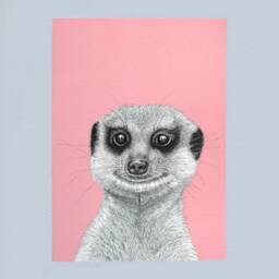 Meerkat A4 Art Print // Wall Art, Wildlife Meerkat Gift, Pen & Ink Animal Print, Detailed - thumbnail 3
