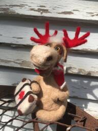 Canadian Moose - Felted