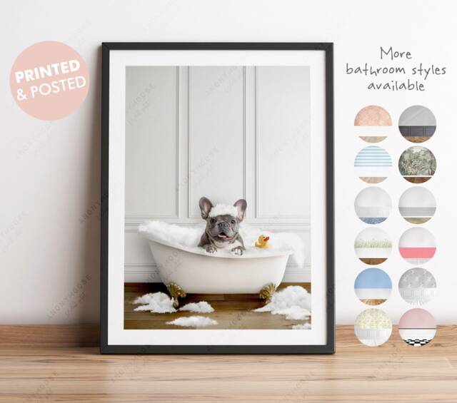 Grey French Bulldog in A Bath Print, Bathing, Funny Bathroom Animal Bathtub, Dog Tub Whimsy - image 1