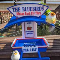 Cardiff City Bird Seed Feeder - Bluebirds Fly Thru Welsh Football Fan Garden Feeding Station - thumbnail 2