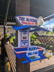Cardiff City Bird Seed Feeder - Bluebirds Fly Thru Welsh Football Fan Garden Feeding Station - thumbnail 1