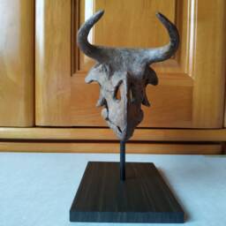 17cm???dinosaur Model/Nasutoceratops Skull Small Model Dbjl-H1801 - thumbnail 4