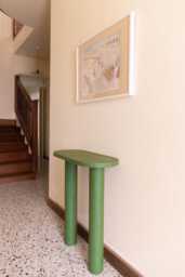 Colorful Nolina Console