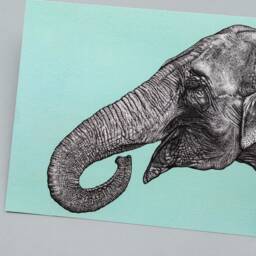 Asian Elephant A4 Art Print With Light Blue Teal Background // Elephant Wall Art, Lover Gift, Animal - thumbnail 2