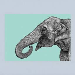 Asian Elephant A4 Art Print With Light Blue Teal Background // Elephant Wall Art, Lover Gift, Animal - thumbnail 3