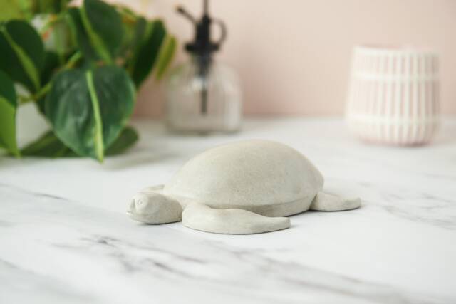 Turtle Sculpture, 3D Turtle Cast in Concrete - image 1