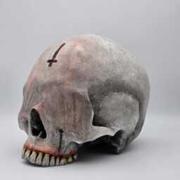 Blinded By Darkness . Realistic Plaster Of Paris Life Size Human Skull Replica - thumbnail 3