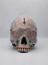 Blinded By Darkness . Realistic Plaster Of Paris Life Size Human Skull Replica