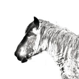 Belgian Horse, Draft Horse - Wooden Stand For Candles/Pens With The Image Of A Horse New Collection - thumbnail 2