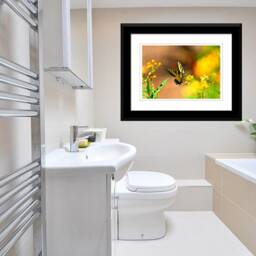 Digital Download Swallowtail Butterfly, Butterfly Art, Wall Decor, Nature Yellow Art - thumbnail 4