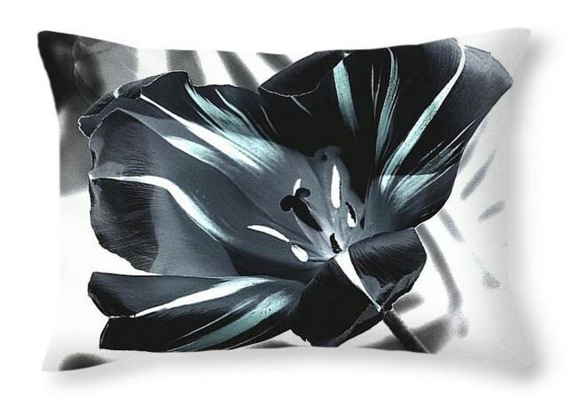 Throw Pillow Black Tulip Photo Printed On Cotton in 14x14 To 26x26 Square Or 20x14 Long Floral Accent Home Decor - image 1