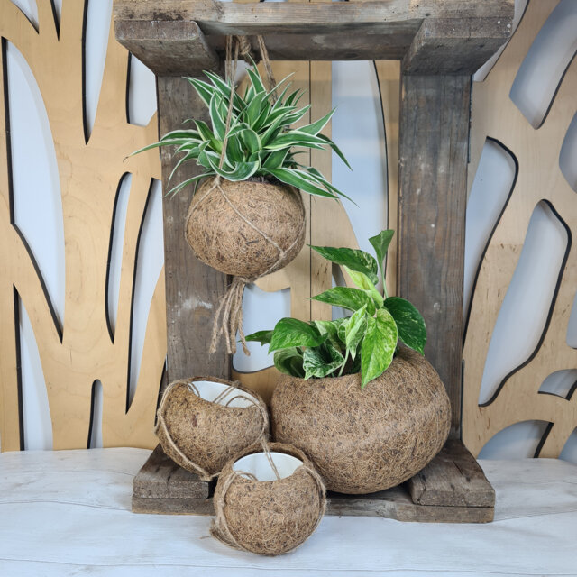 Kokedama Coconut Fibre Hanging Planter - Indoor Plant Pots - image 1