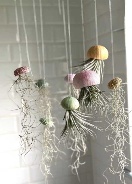 Handmade Clay Air Plant Holder Sea Urchin Jellyfish Theme by Etsy |  uFurnish.com