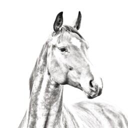 American Warmblood - Wooden Stand For Candles/Pens With The Image Of A Horse New Collection - thumbnail 2