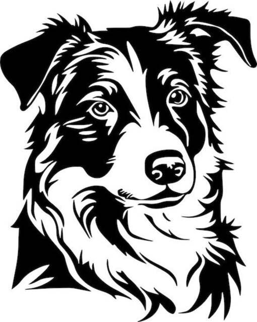 Border Collie Dog Sheep Car Van Bonnet Vinyl Side Sticker Wall Art Hood Graphic Window Door Sign Motorhome