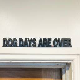 You've Got The Love Acrylic Sign For Wall, Shelf Or Doorframe Florence & Machine Fans Door Topper. Dog Days Are Over Everybody Scream - thumbnail 3