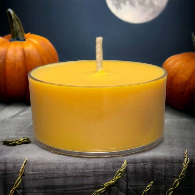 Drunken Pumpkin Scented Soy Candle Tealights Rustic Home Spice - image 1