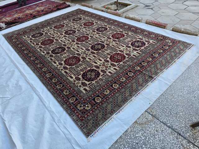 8x12 Ft Cream Red Tribal Bokhara Carpet - Handwoven Wool Oriental Rug - image 1