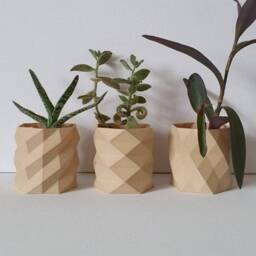 Geometric Succulent Planter Set, Modern Mini Pots, Eco-Friendly Wooden Plant Pots