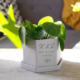 New Home Hexagon Plant Pot - Personalised Gift Cacti House Warming Happy New Home