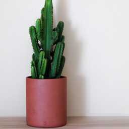 Grenat Concrete Planter - Elegant & Durable - Indoor Outdoor Use - thumbnail 1