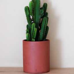 Grenat Concrete Planter - Elegant & Durable - Indoor Outdoor Use - thumbnail 2
