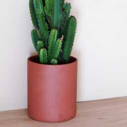Grenat Concrete Planter - Elegant & Durable - Indoor Outdoor Use - thumbnail 3