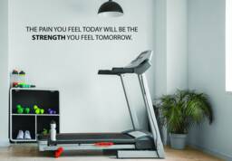 Gym Wall Decal, Physical Therapy Fitness Quote, Sports Quote Sticker. The Pain You Feel Today Will Be The Strength Tomorrow