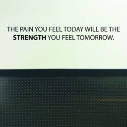 Gym Wall Decal, Physical Therapy Fitness Quote, Sports Quote Sticker. The Pain You Feel Today Will Be The Strength Tomorrow - thumbnail 3