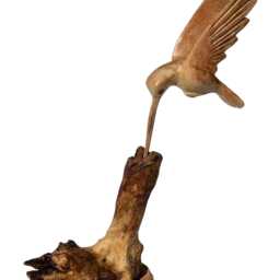 Single Hovering Hummingbird Feeding From Wooden Base - thumbnail 3