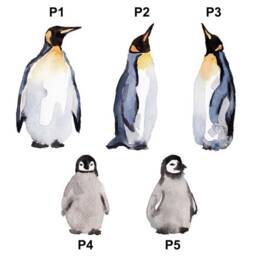 Penguin Family Print Custom Quote, Personalised Wall Art Gift - thumbnail 3