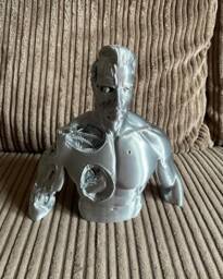 3D Printed Terminator Bust High Detail Display - thumbnail 1