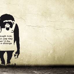 "Banksy Wall Art Decal Monkey With Quote " - thumbnail 4